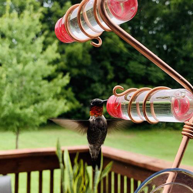 Window Suction Cup Hummingbird Feeder