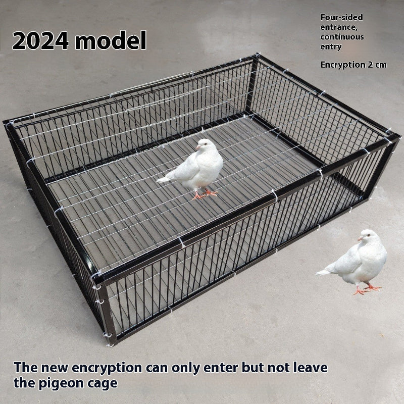 Pigeon cage with two pigeons on a concrete floor, labeled '2024 model'.
