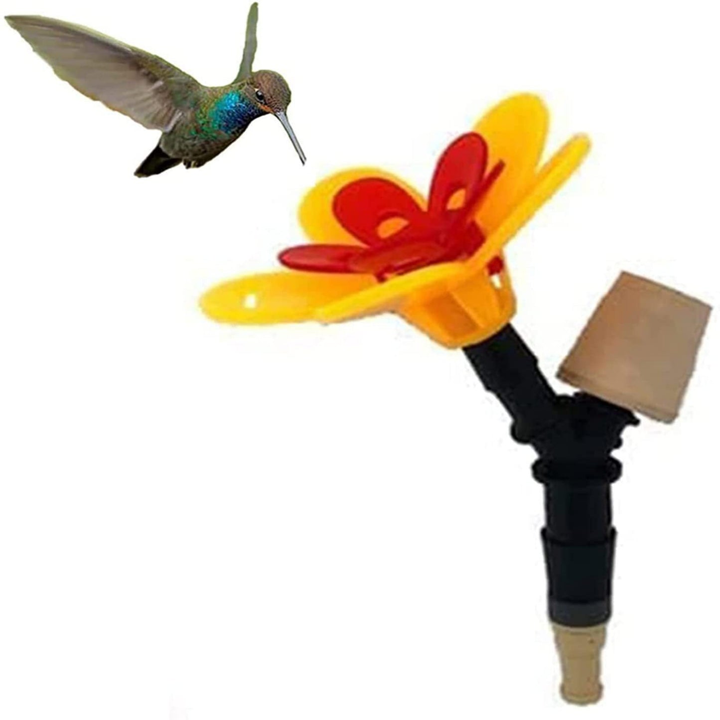Outdoor, Garden, Courtyard, WineBottle, Birds, Landscape, Decoration, BirdFeeder, WineBottle, Hummingbird, Feeder, SingleHead, ThreeHeads