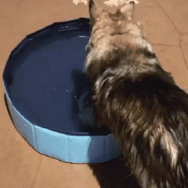 Big Size Large Pool Dog Swimming Pool Foldable Pet Pool Bath Swim Tub Bathtub Pet Collapsible Bathing Outdoor