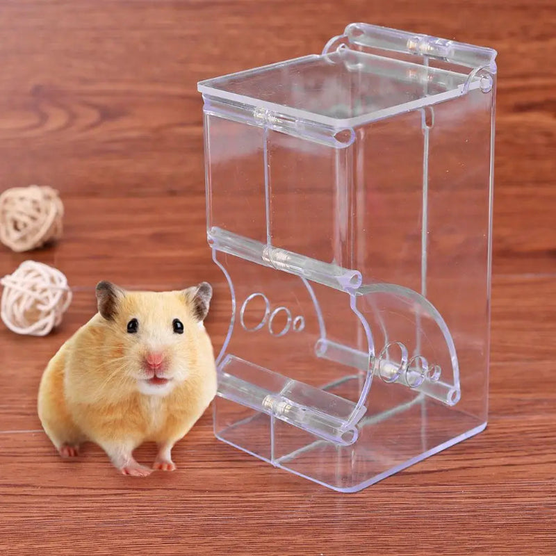 Hamster next to a transparent acrylic pet cage on a wooden surface