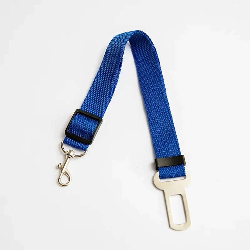 Dog wearing a dark blue harness and leash in a car, with a close-up of the buckle.