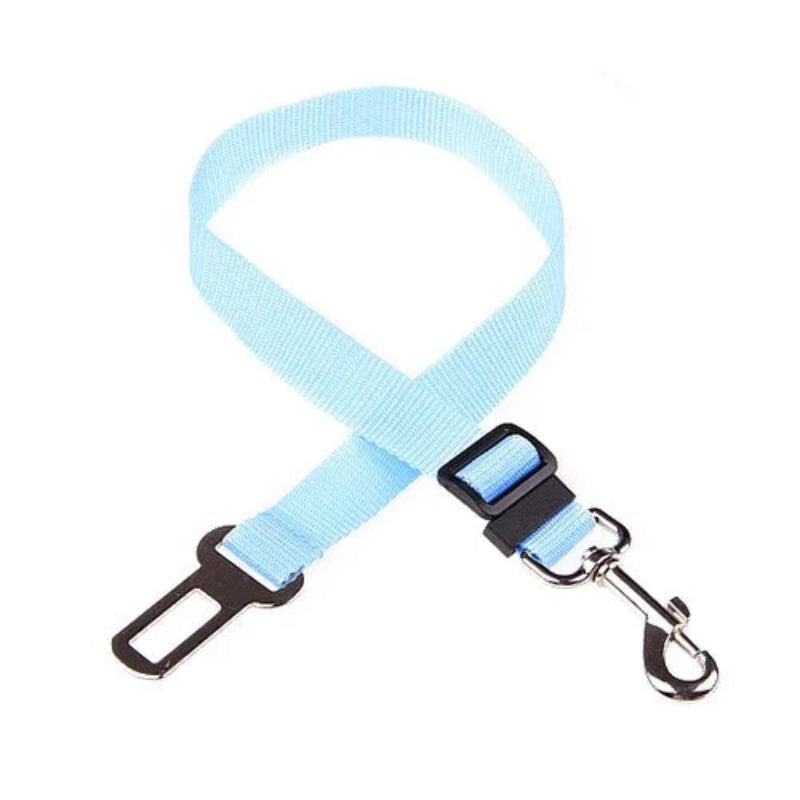 Light blue dog seat belt with clip and leash on a white background