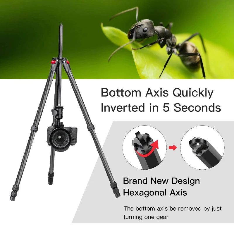 #DSLRPhotography #TravelTripods #LightweightTripods #CompactCameraGear #AluminumTripods #TravelCameraAccessories #CameraStabilization #PhotographyEquipment