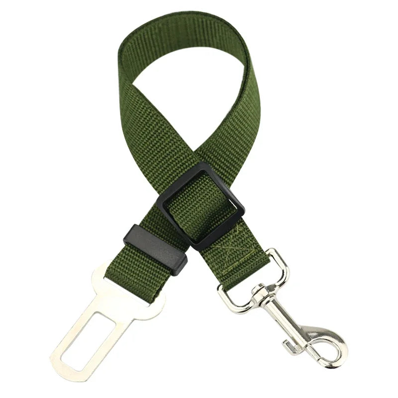 Dog wearing a army green harness and leash in a car, with a close-up of the buckle.