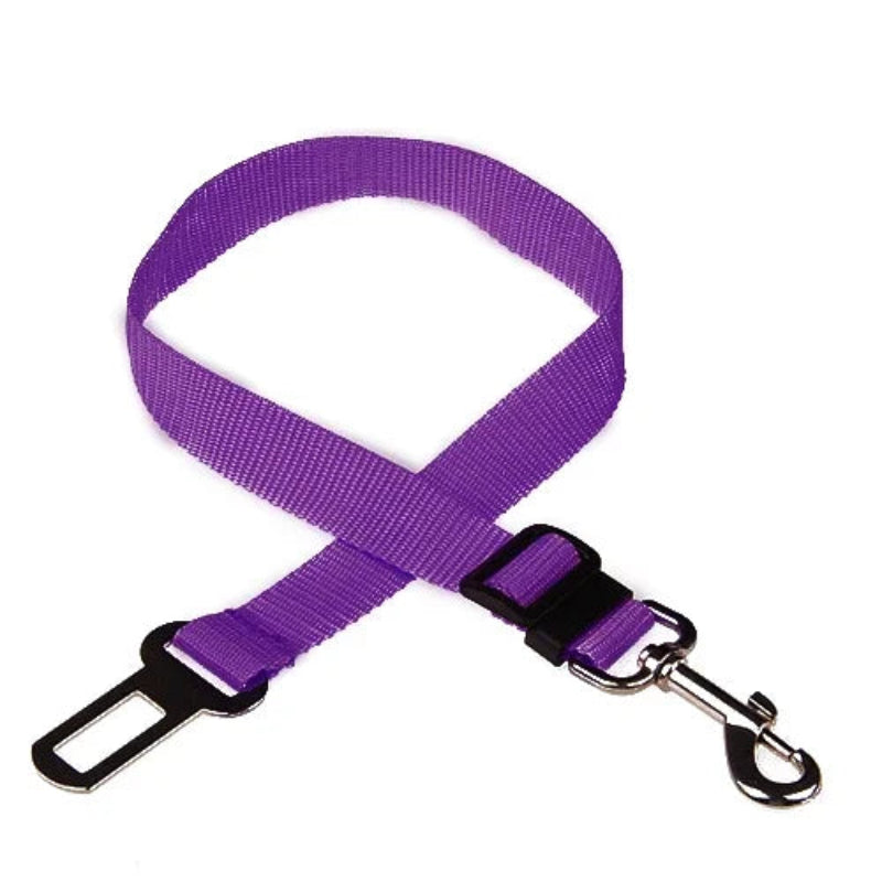 Purple dog leash with a black clip on a white background