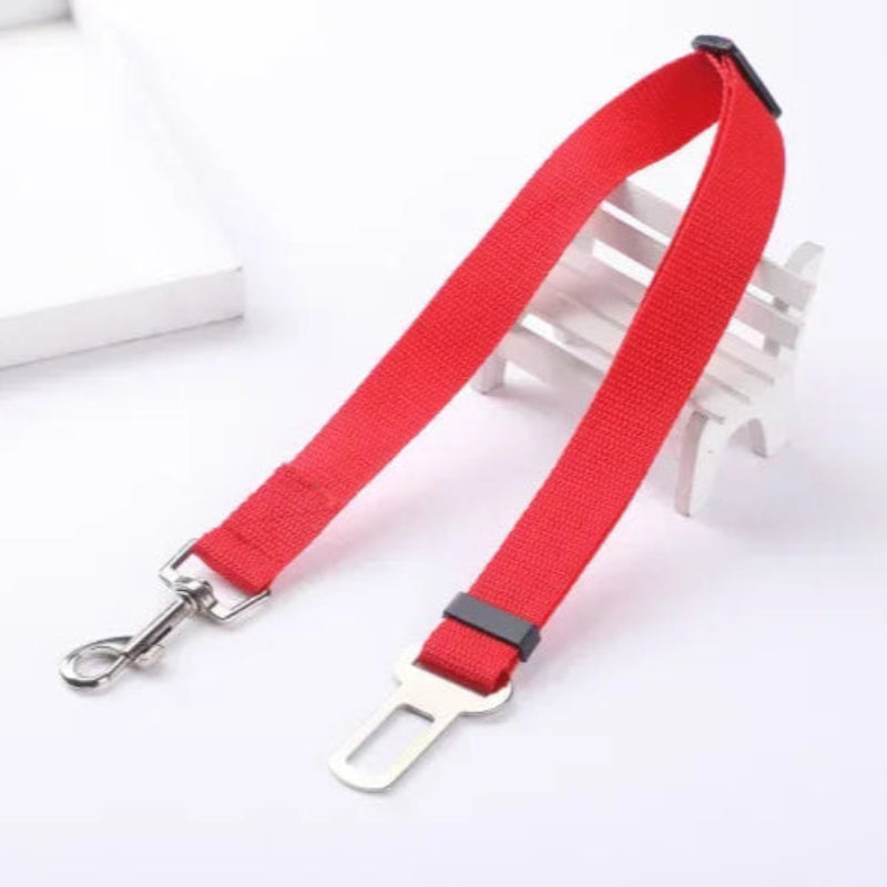 Red pet seat belt with a metal clip on a white background