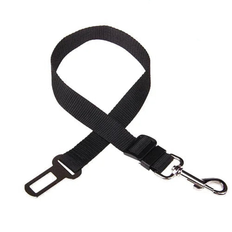 Black dog leash with metal clip on a white background