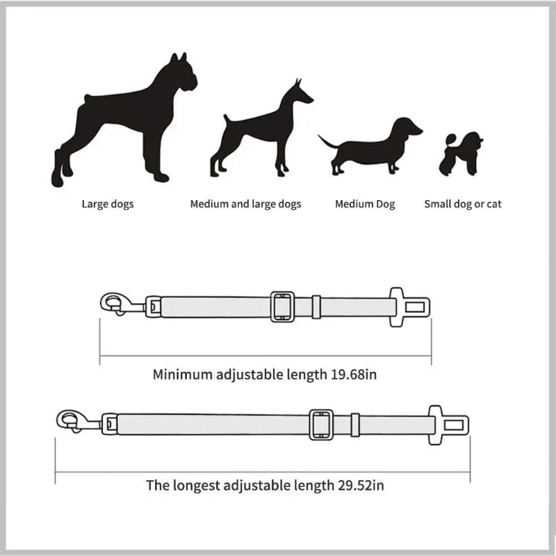 Measurement chart for dog leashes with illustrations of different dog sizes and leash lengths.