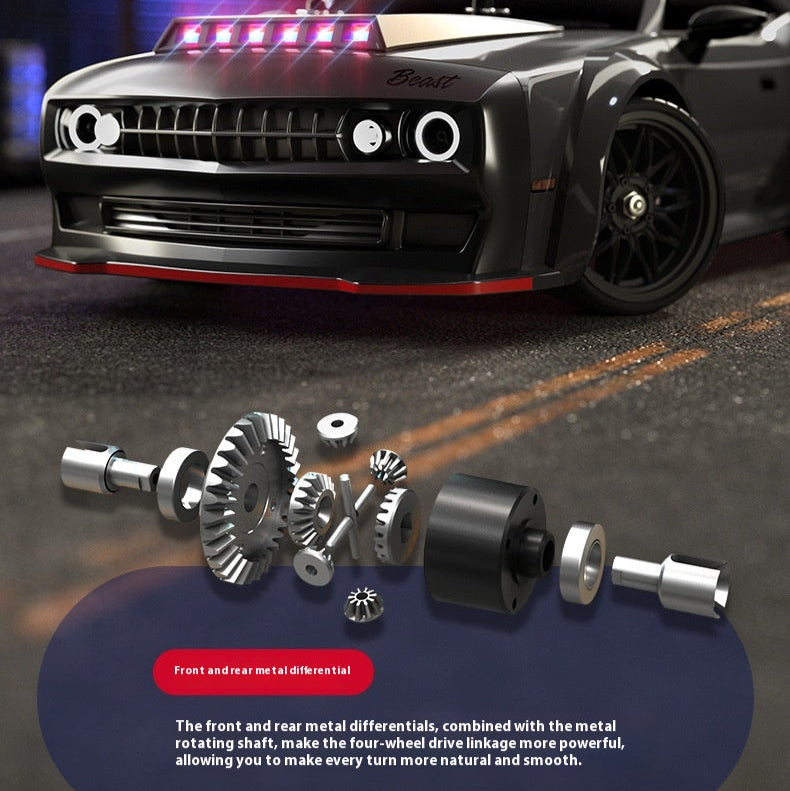 Professional Remote Control Car