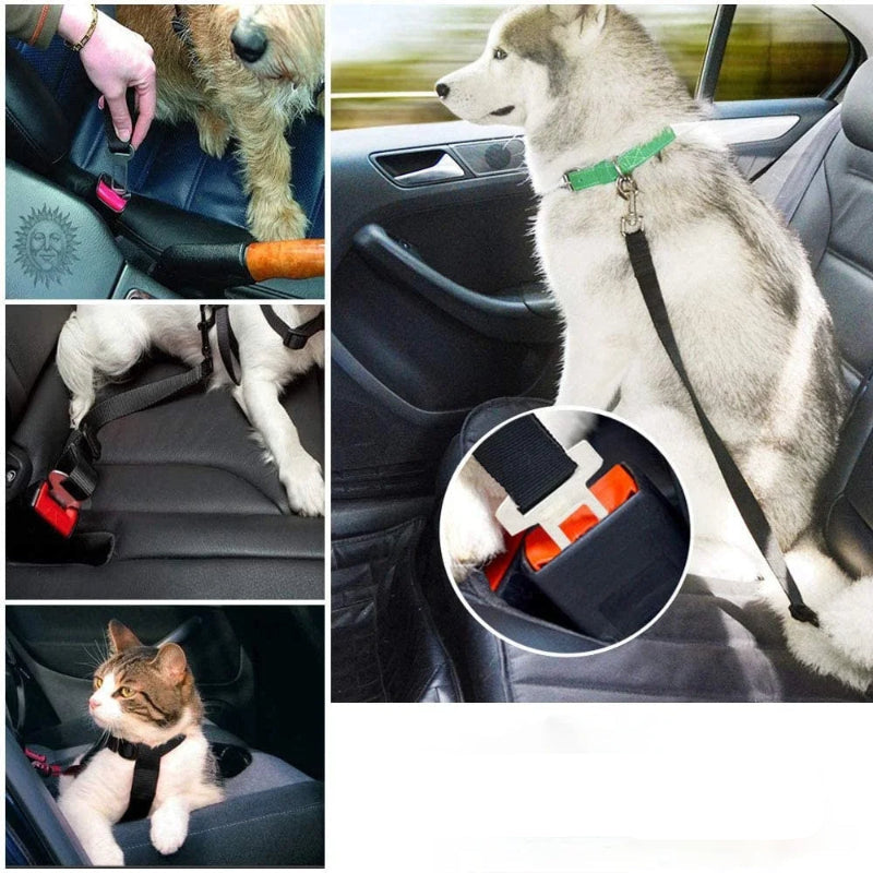 Dog seat belt being used on a car seat with a close-up of the buckle mechanism.