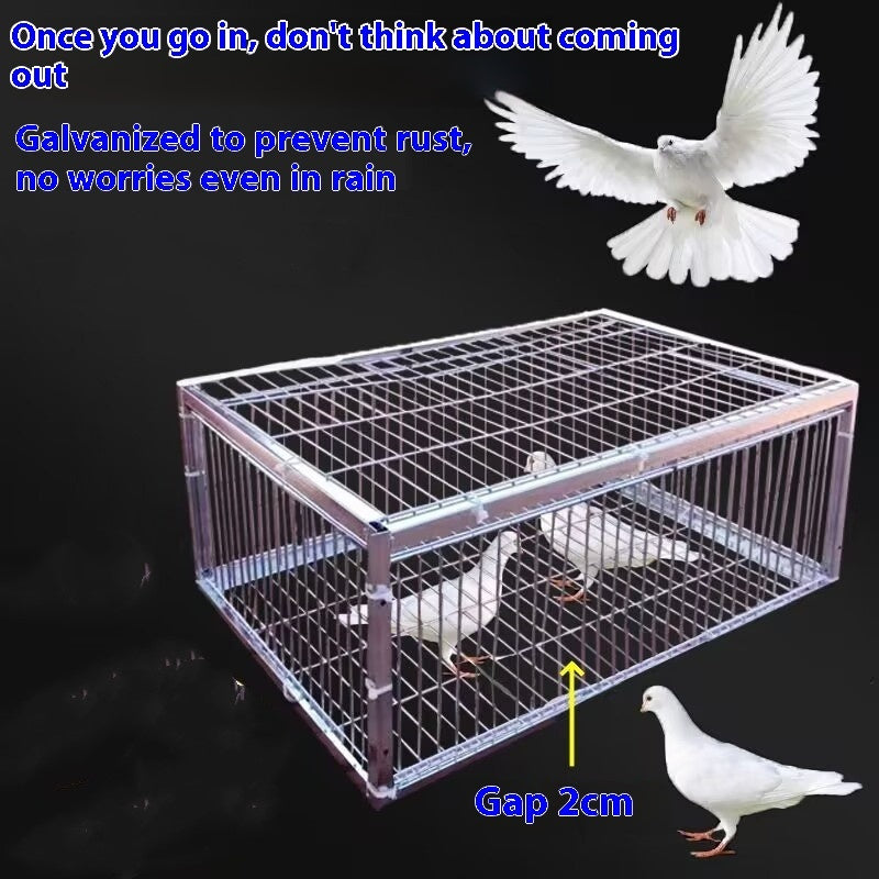 Cage with birds and promotional text on a dark background