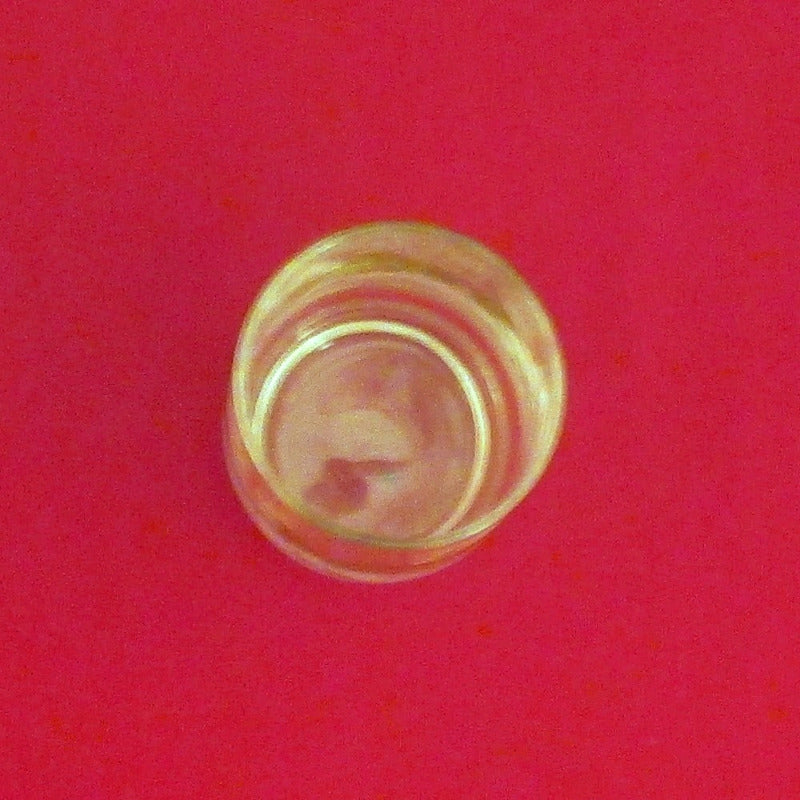 Antique Pepsi-Cola Winter Scene Drinking Glass