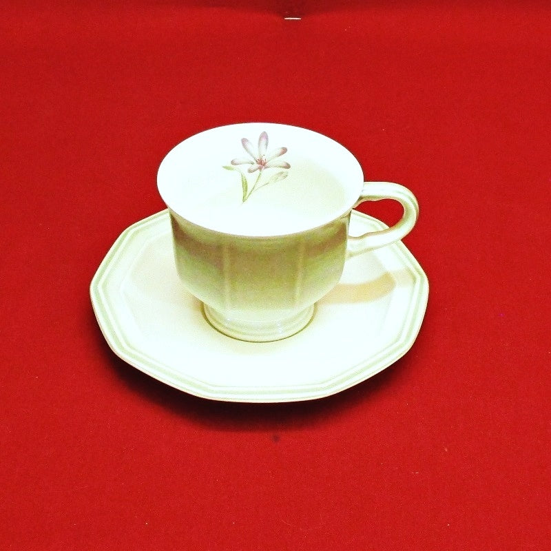 Twice Nice Cup and Saucer Set