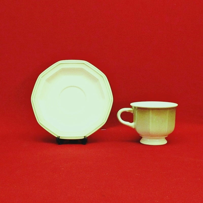 Twice Nice Cup and Saucer Set