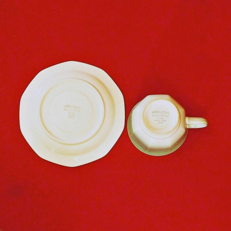 Twice Nice Cup and Saucer Set