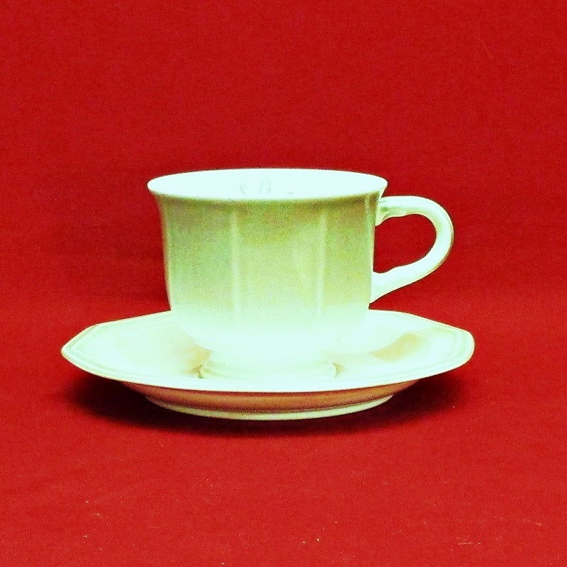 Twice Nice Cup and Saucer Set