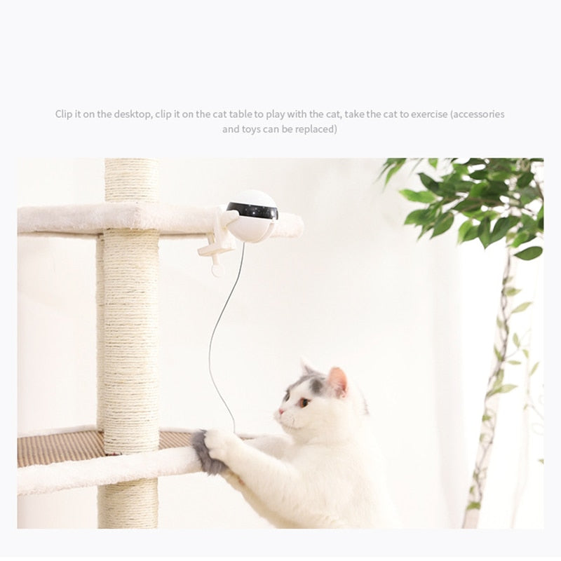 Electric Cat Toy Funny Cat Teaser Ball Toy Automatic Lifting Spring Rod Yo-Yo Lifting Ball Interactive Puzzle Smart Pet Toys