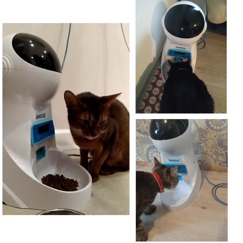 Automatic Pet Feeder With Voice Record Pets Food Bowl For Medium Small Dog Cat LCD Screen Dispensers 4 Times One Day