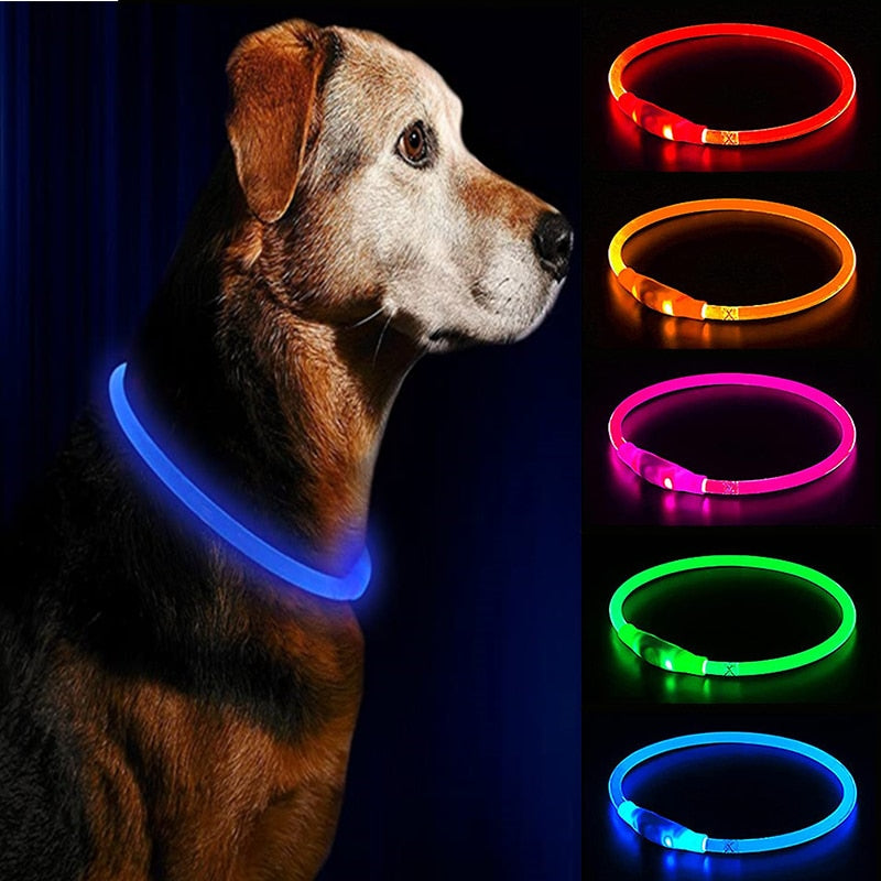 Led Light Dog Collar Detachable Glowing USB Charging Luminous Leash for Big Cat Collar Small Bright Labrador Pets Dogs Products