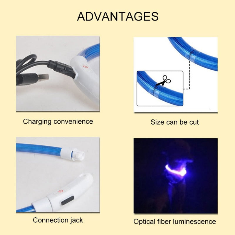 Led Light Dog Collar Detachable Glowing USB Charging Luminous Leash for Big Cat Collar Small Bright Labrador Pets Dogs Products