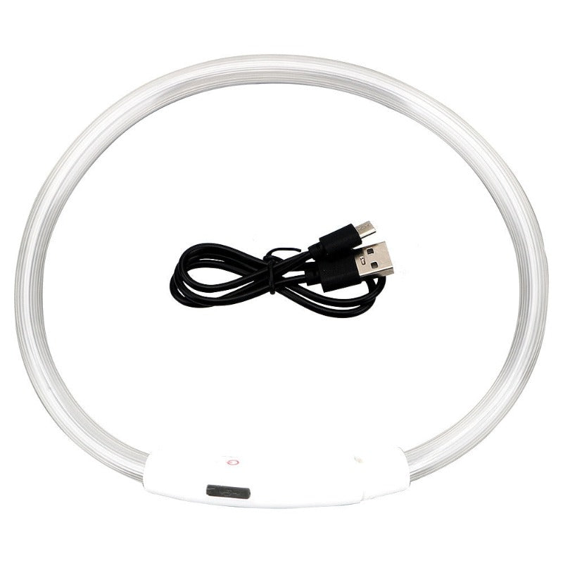 Led Light Dog Collar Detachable Glowing USB Charging Luminous Leash for Big Cat Collar Small Bright Labrador Pets Dogs Products