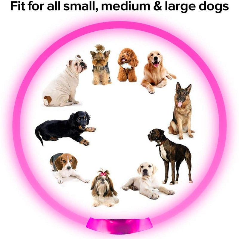 Led Light Dog Collar Detachable Glowing USB Charging Luminous Leash for Big Cat Collar Small Bright Labrador Pets Dogs Products
