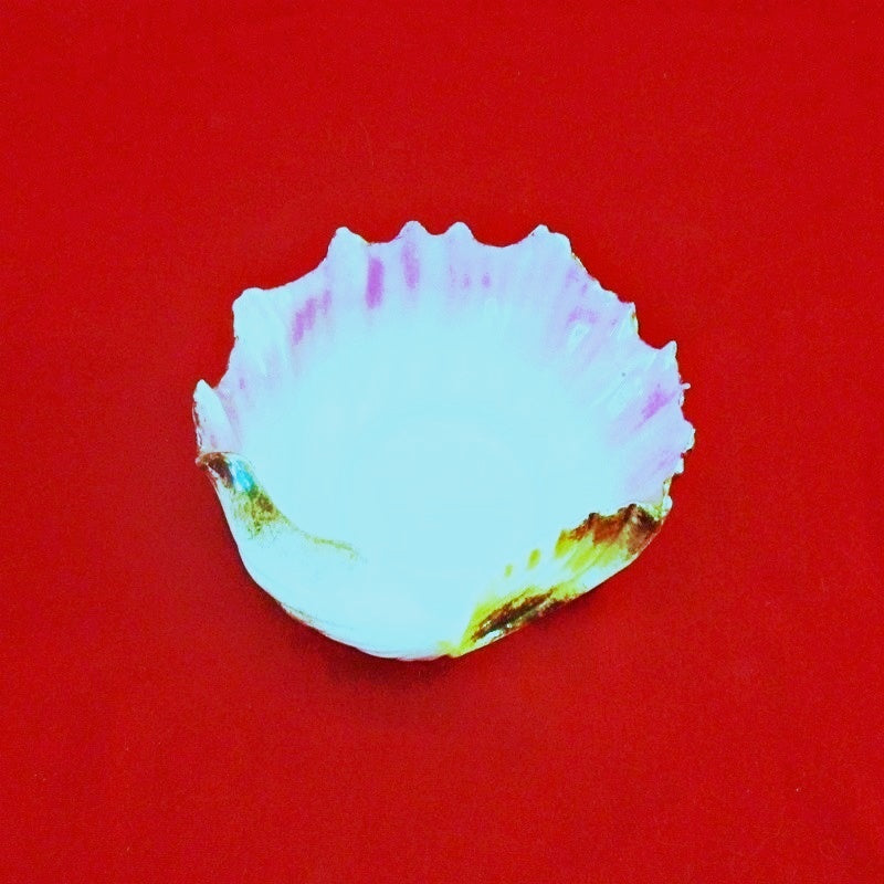 Egg Shell Seashell Dresser Dish - Great Deals Webstore