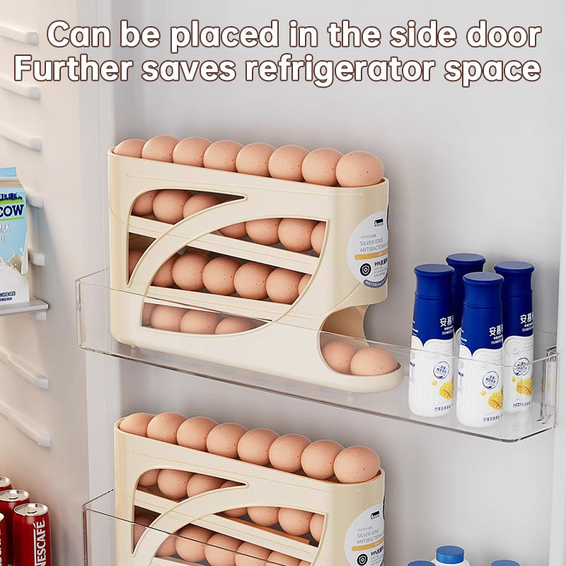 Refrigerator Side Door Egg Storage