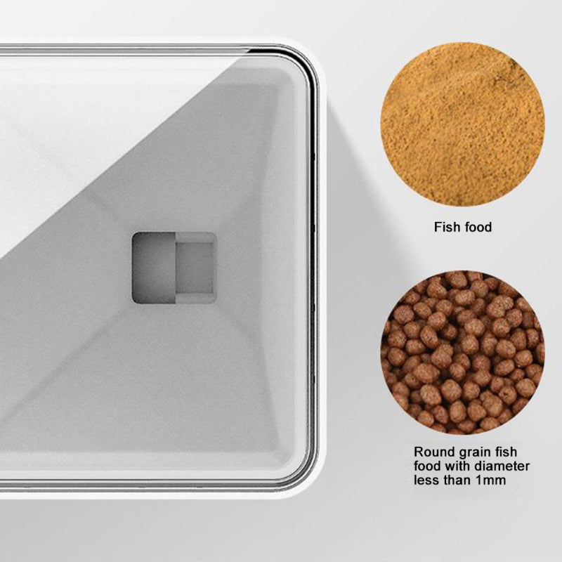 Tetra aquarium with fish food and round grain fish food on a white background