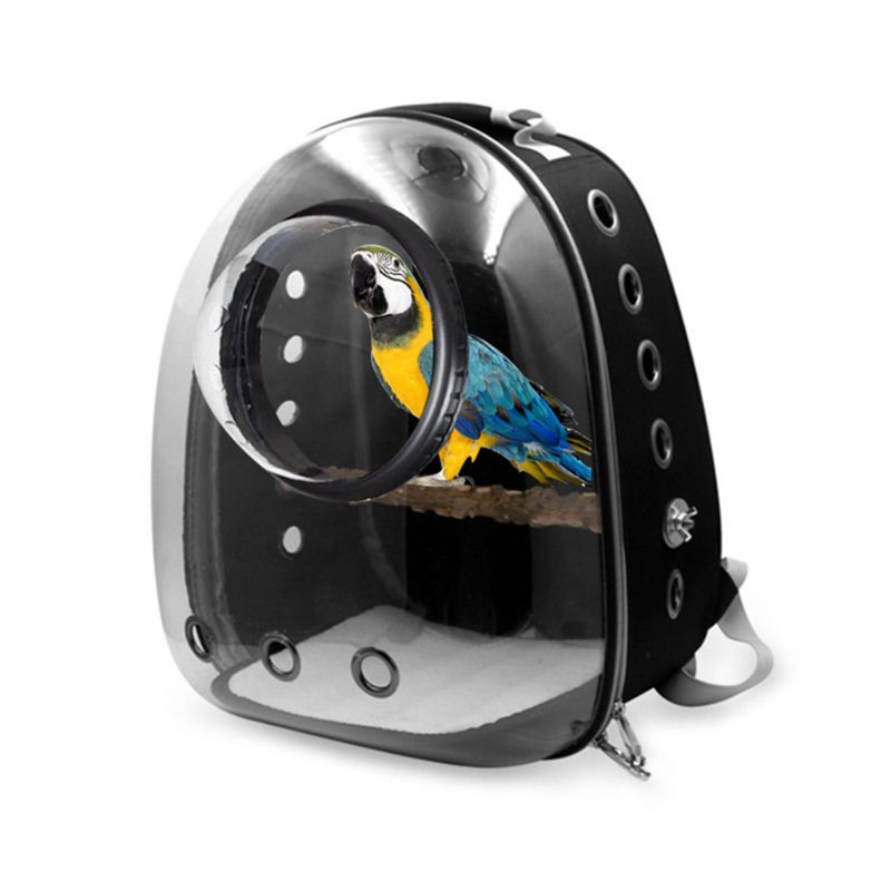 Multifunctional Portable Pet Bag
