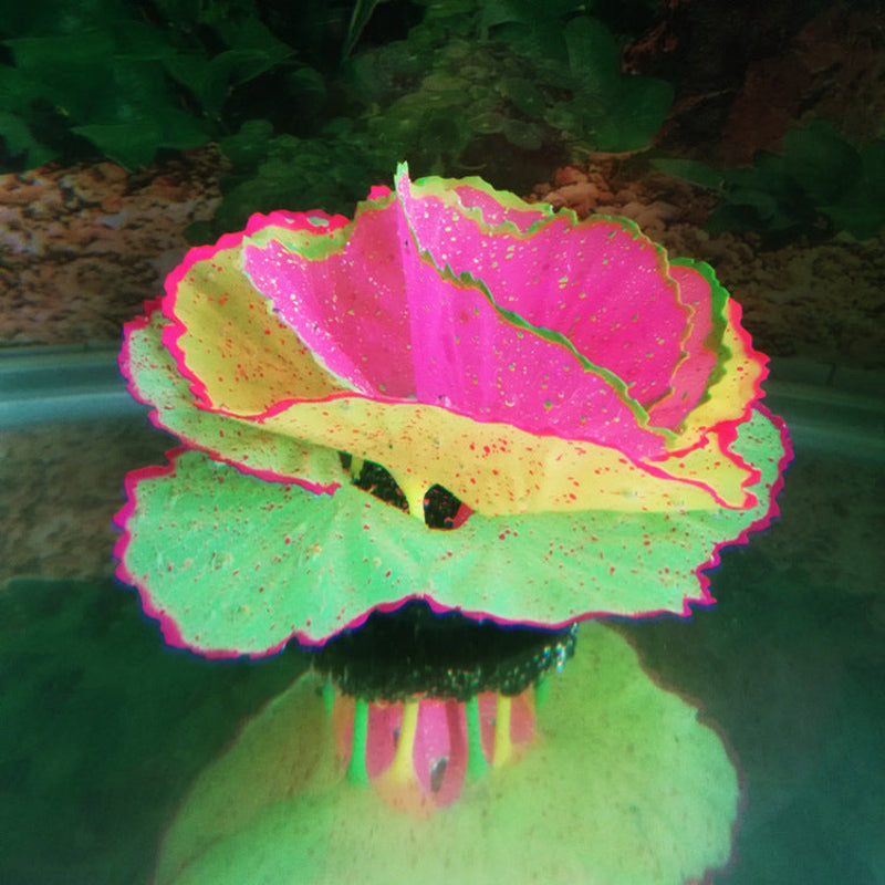 Neon pink and green flower with a blurred background
