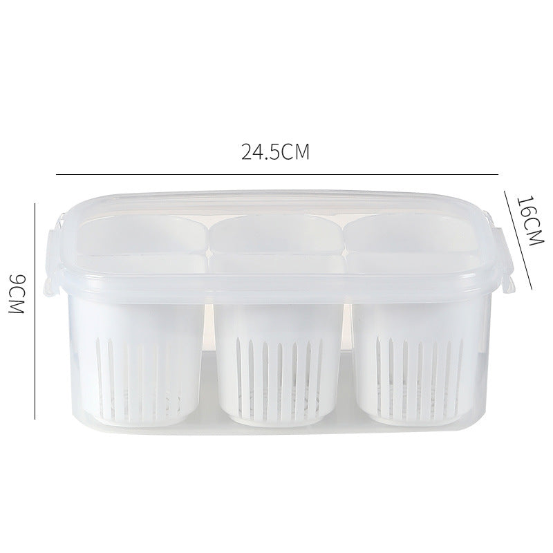 Simple And Convenient Scallion Fresh-Keeping Box With Lid Split Refrigerator Fresh-Keeping Box Fruit And Vegetable Food Box