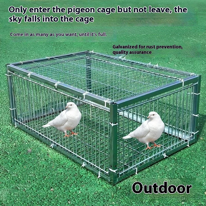 Cage with two pigeons on a green grass background, text about pigeon cage.