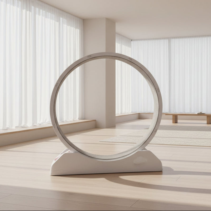 Circular pet toy on a white background