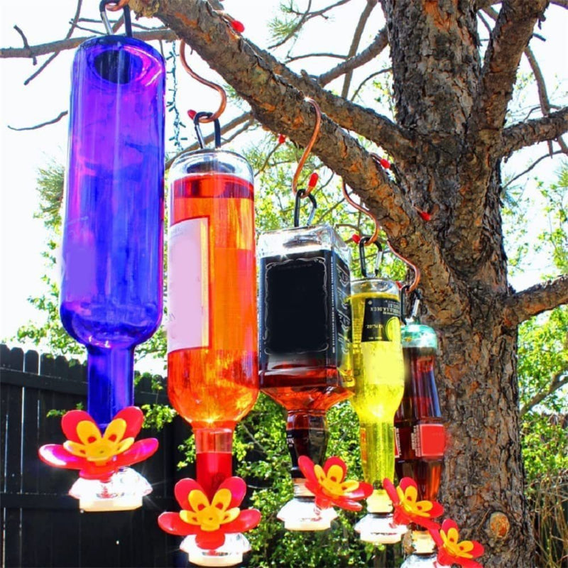 Outdoor, Garden, Courtyard, WineBottle, Birds, Landscape, Decoration, BirdFeeder, WineBottle, Hummingbird, Feeder, SingleHead, ThreeHeads 