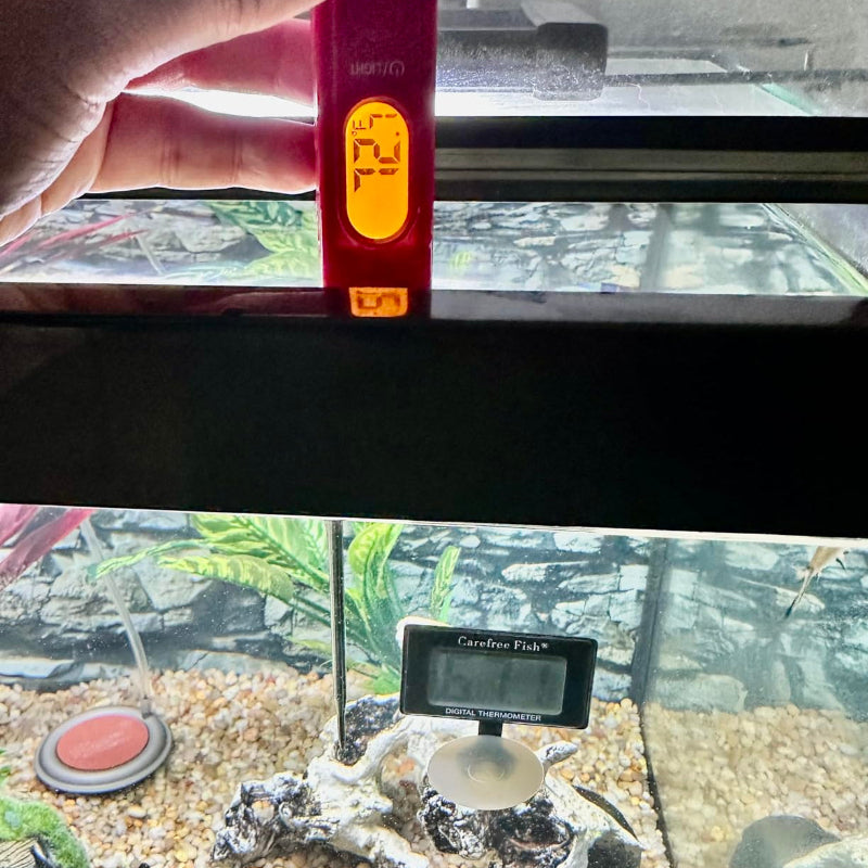 Digital thermometer showing 72.1°F above an aquarium with fish and decorations.