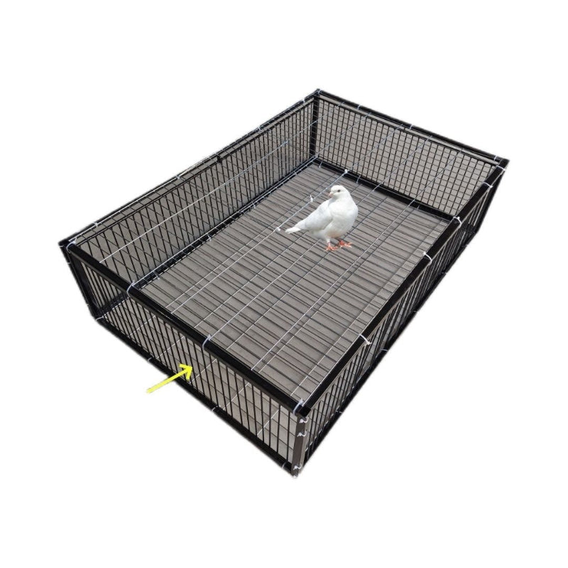 Black wire pet cage with a white bird inside on a white background