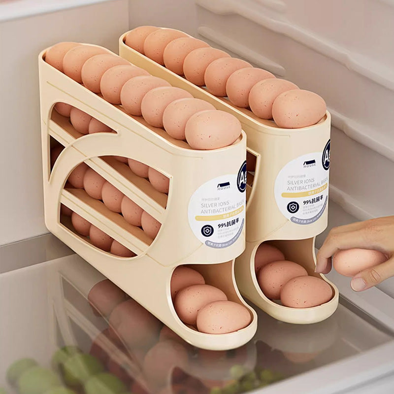 Refrigerator Side Door Egg Storage