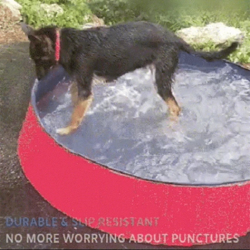 Big Size Large Pool Dog Swimming Pool Foldable Pet Pool Bath Swim Tub Bathtub Pet Collapsible Bathing Outdoor 
