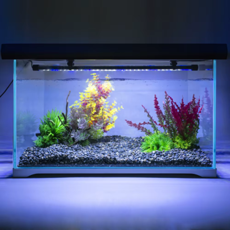 Aquarium with plants and gravel on a dark background