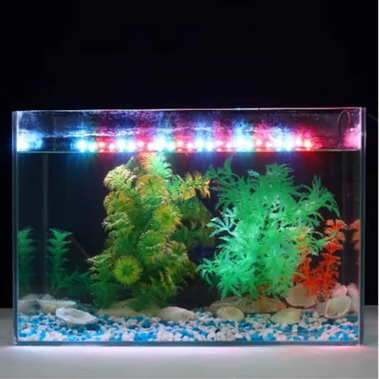 Fish tank with green plants and colorful lights on a black background