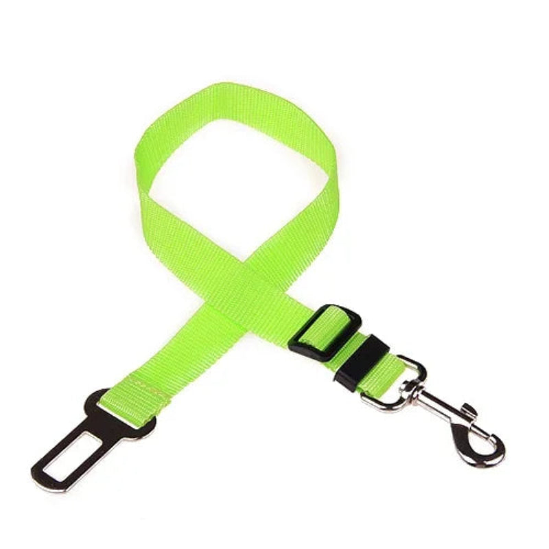 Dog wearing a green harness and leash in a car, with a close-up of the buckle.