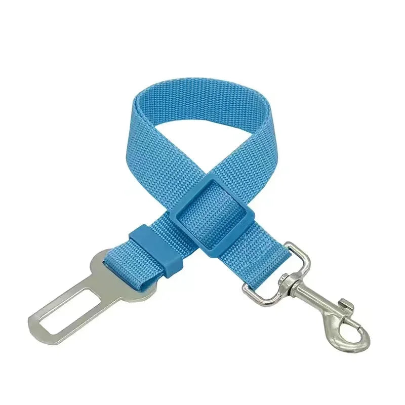 Blue dog seat belt with metal clip on a white background