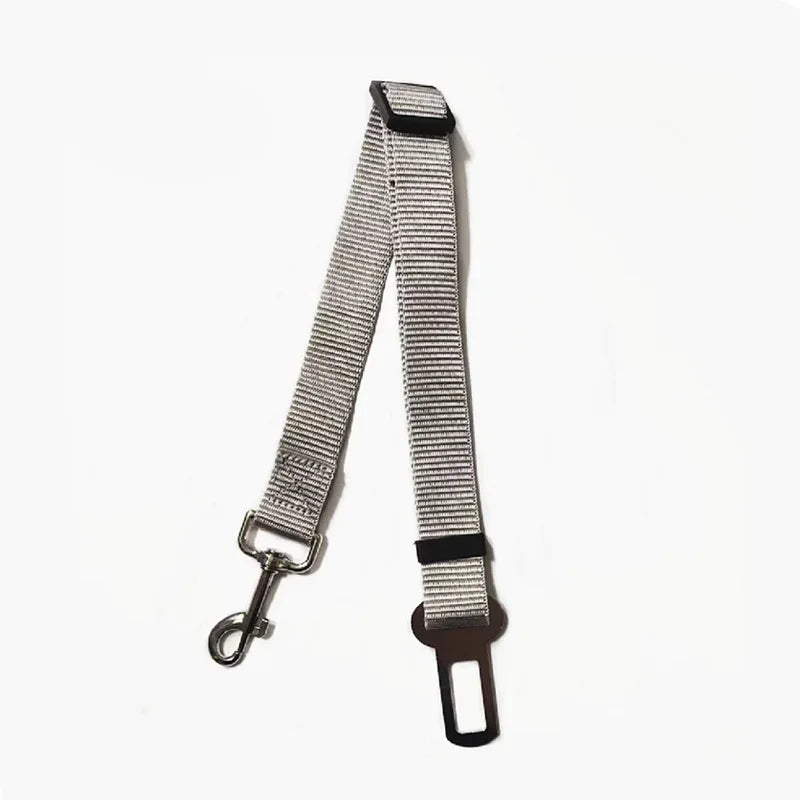 Dog leash with metal clip and carabiner on a white background