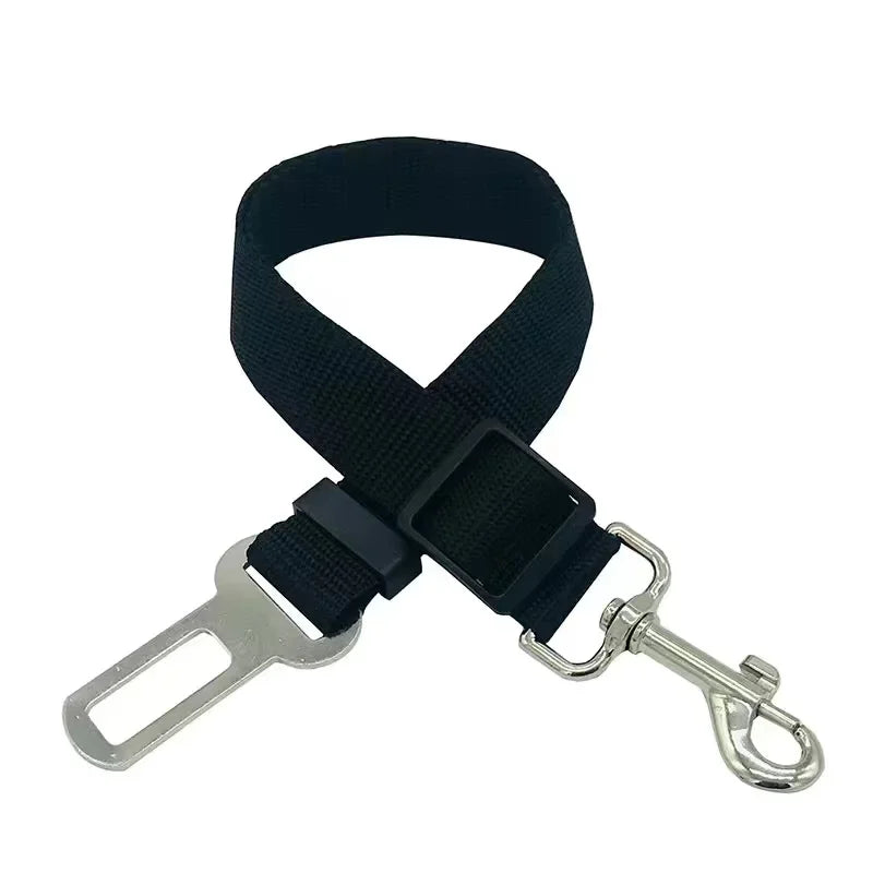 Black dog leash with metal clip on a white background