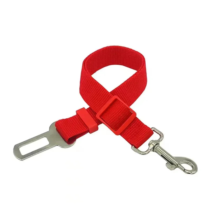 Red car safety belt with metal clip on a white background