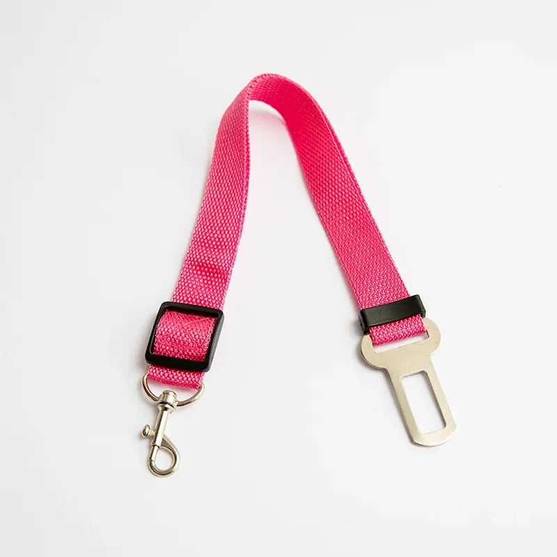 Dog wearing a red rose harness and leash in a car, with a close-up of the buckle.