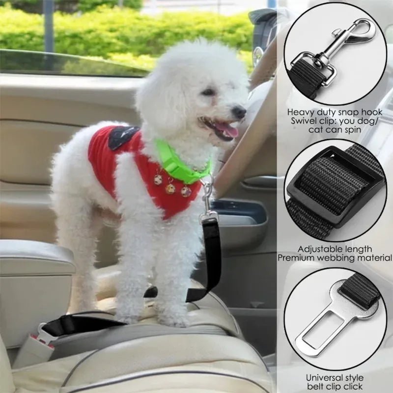 Dog wearing a red harness with a car seat belt, sitting in a car.