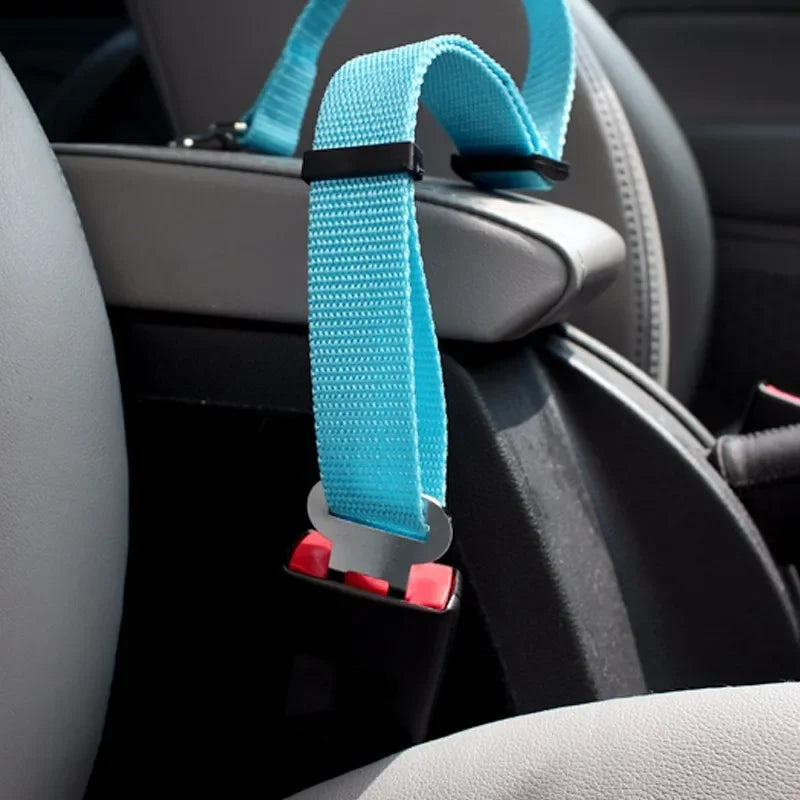 Dog wearing a light blue harness and leash in a car, with a close-up of the buckle.